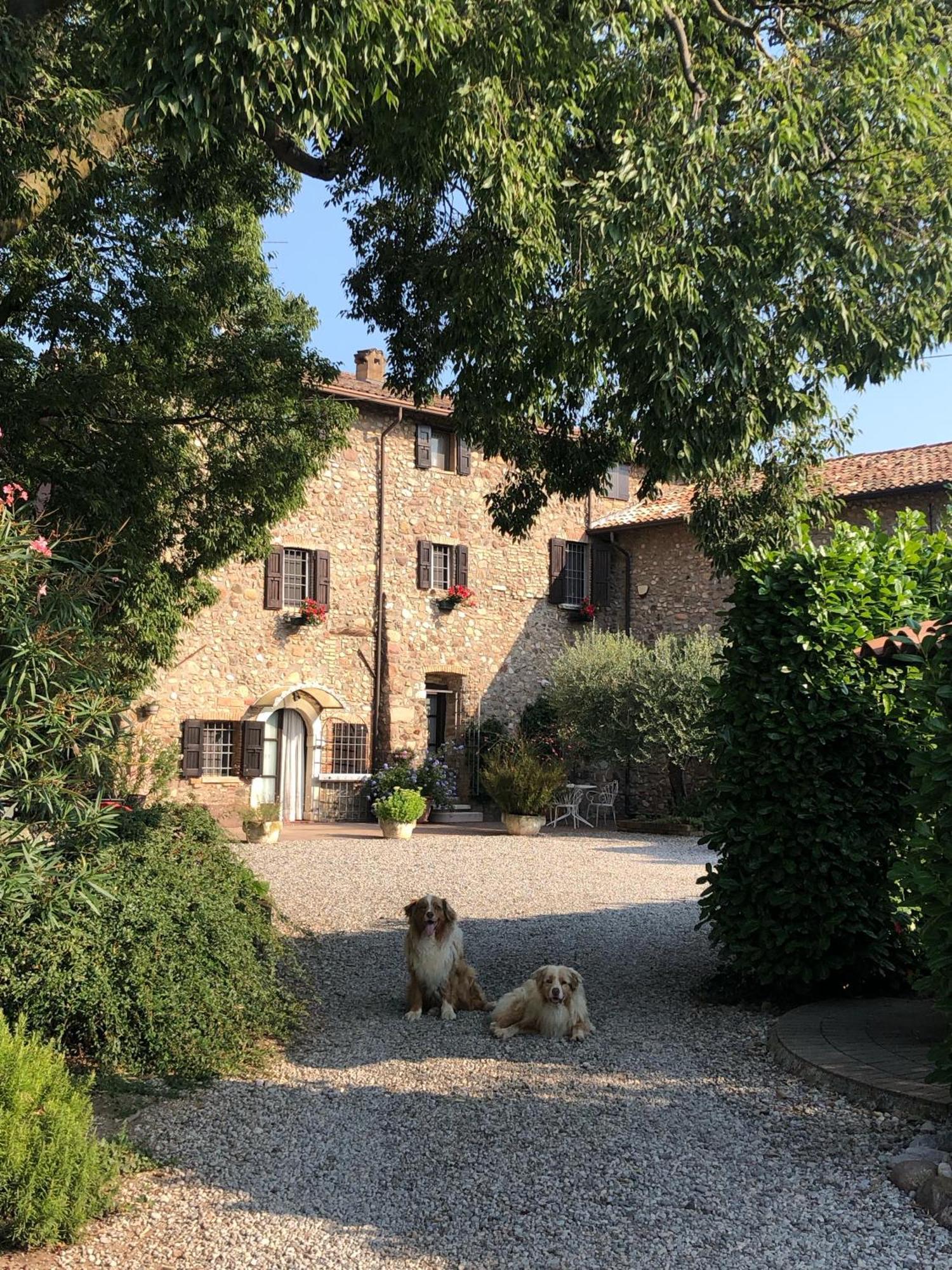 B&B Cascina Mattarelle Monzambano Eksteriør billede