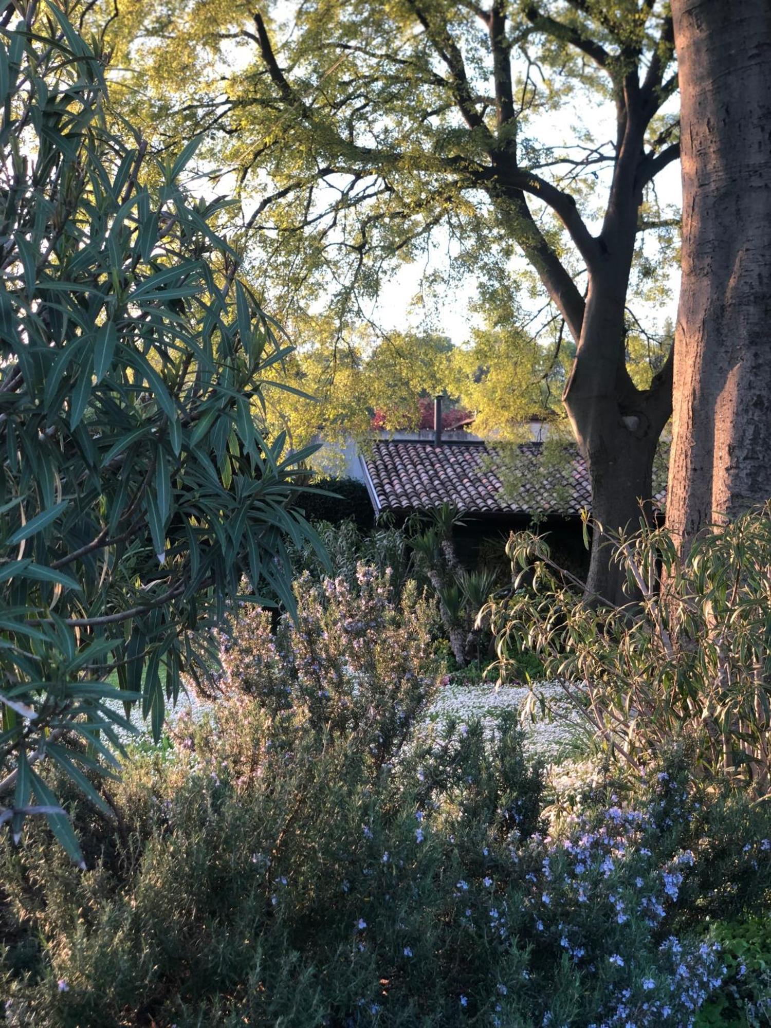 B&B Cascina Mattarelle Monzambano Eksteriør billede
